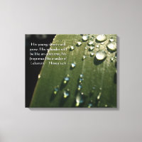Rain Drops on Leaf Scripture