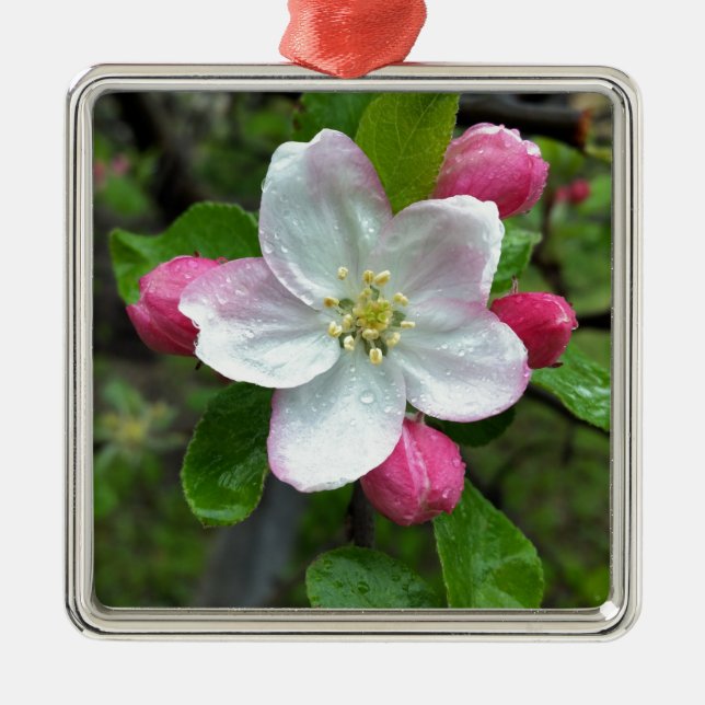 Rain drops on little flower metal tree decoration (Front)