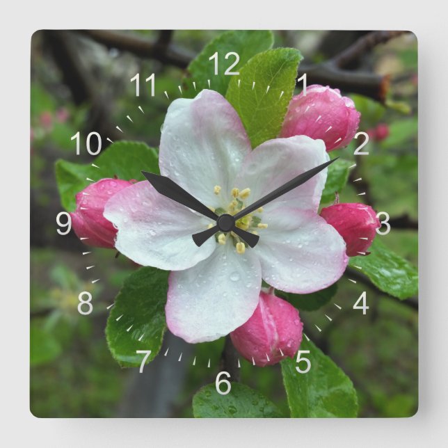 Rain drops on little flower square wall clock (Front)