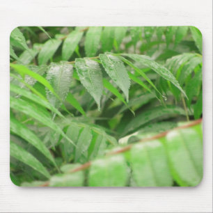 Rain Drops On Sumac Leaves Mouse Pad