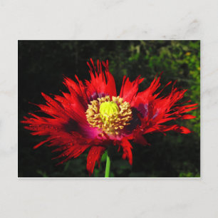 rain drops postcard