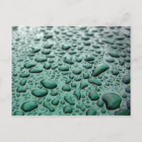 Rain Drops