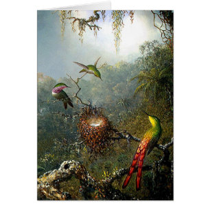 Rain Forest Hummingbirds Card