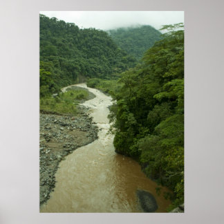 Rain Forest River Poster