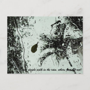 Rain in Florida Postcard