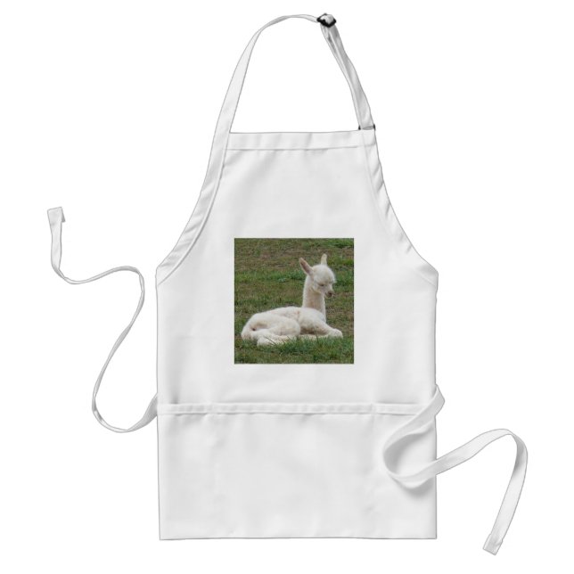 rain.JPG Standard Apron (Front)