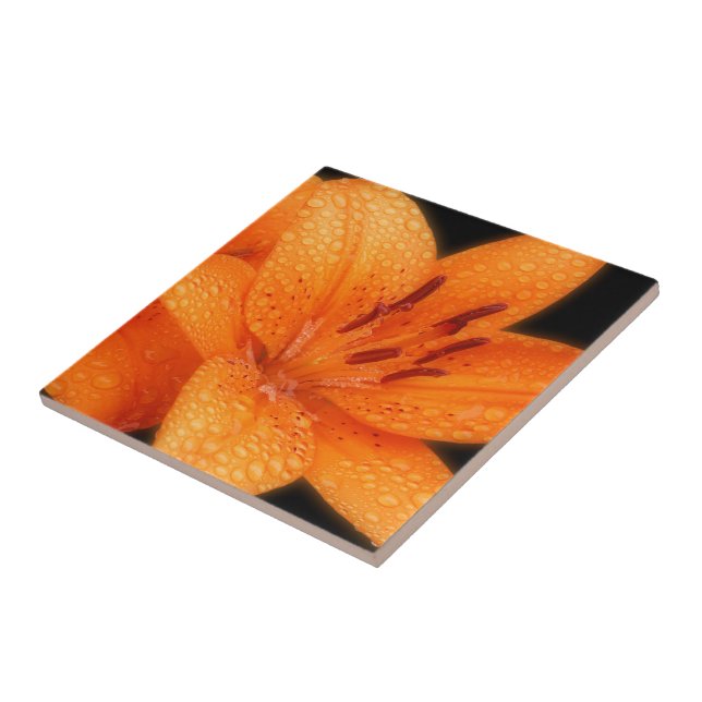 Rain-Kissed Orange Asiatic Tiger Lilies Tile (Side)