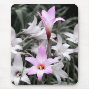 rain lilies mouse pad