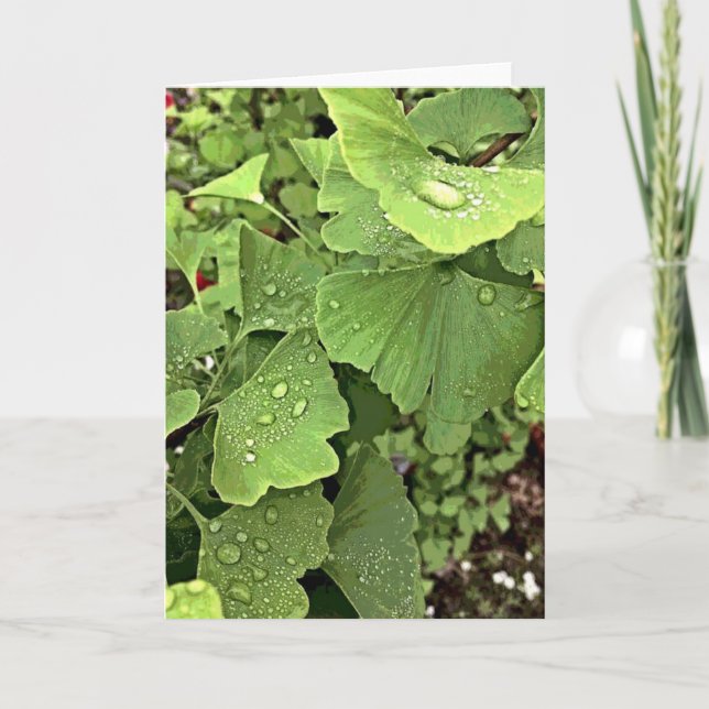 Rain On Gingko Card (Front)