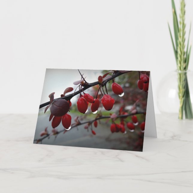 Rain on twig card (Front)