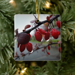 Rain on twig ceramic ornament