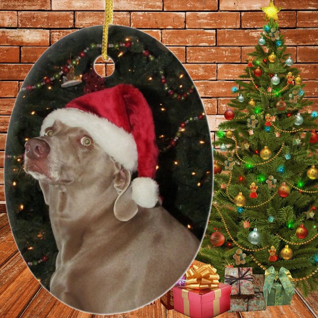 Rain the Weimaraner - a Christmas Ornament (Creator Uploaded)