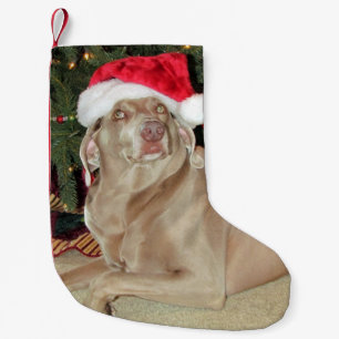 Rain - The Weimaraner Dog - Christmas Stocking (P)