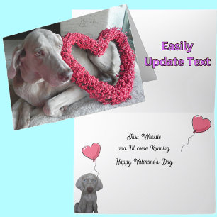 Rain the Weimaraner Dog's Valentine's Day Card