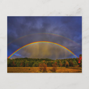 Rainbow #0954 postcard