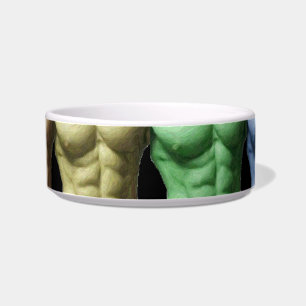 Rainbow Abs Pet Bowl