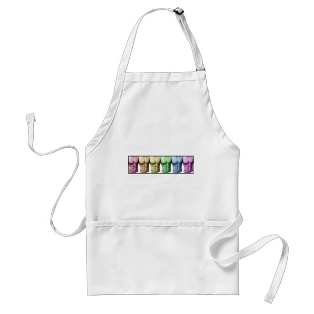 Rainbow Abs Standard Apron (Front)
