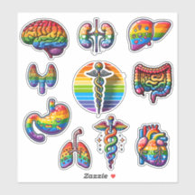 Rainbow Anatomy