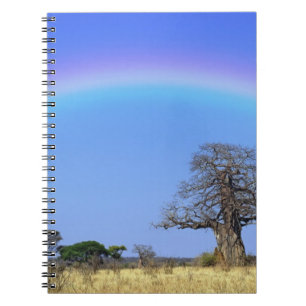 Rainbow and African baobab tree, Adansonia Spiral Notebook