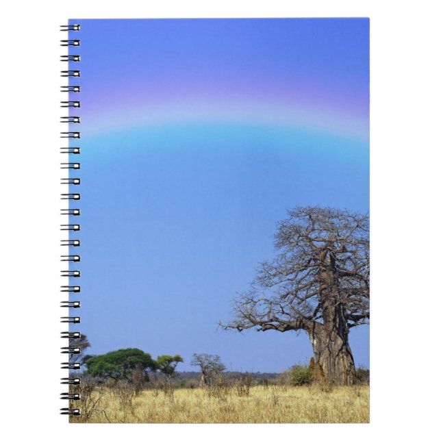 Rainbow and African baobab tree, Adansonia Spiral Notebook (Front)