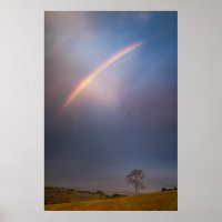 Rainbow And Tree Landscape