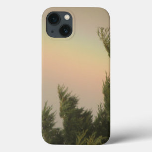 Rainbow and Trees iPad Case