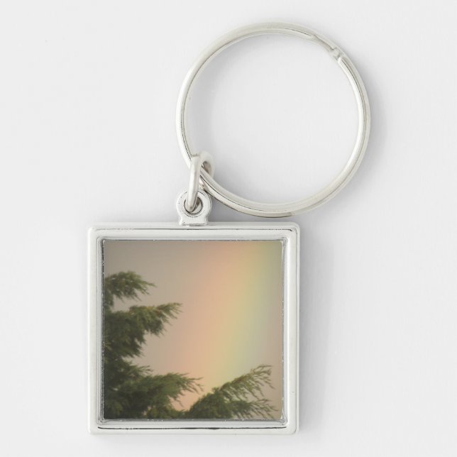 Rainbow and Trees Keychain (Front)