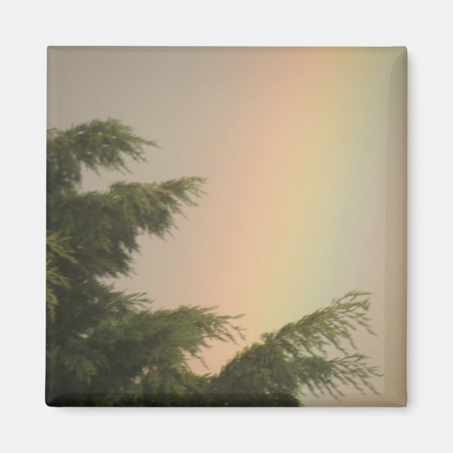 Rainbow and Trees Magnet (Front)