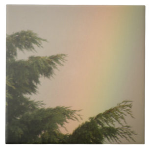 Rainbow and Trees Tile