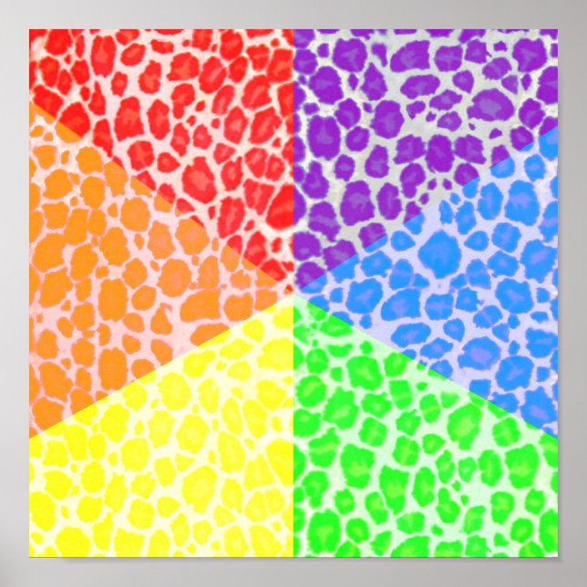 Rainbow Angles Leopard Pattern Poster (Front)