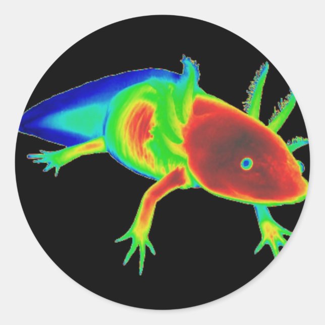 Rainbow Axolotl Stickers (Front)