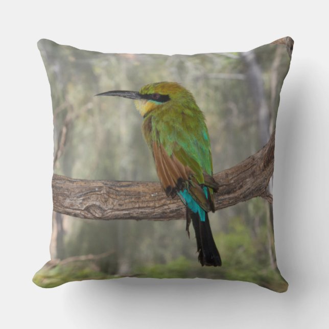 Rainbow bee-eater bird, Australia Cushion (Front)