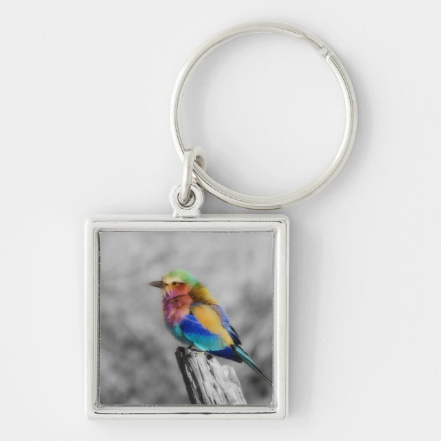 Rainbow Bird Key Ring (Front)