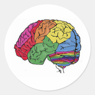 Rainbow Brain Classic Round Sticker