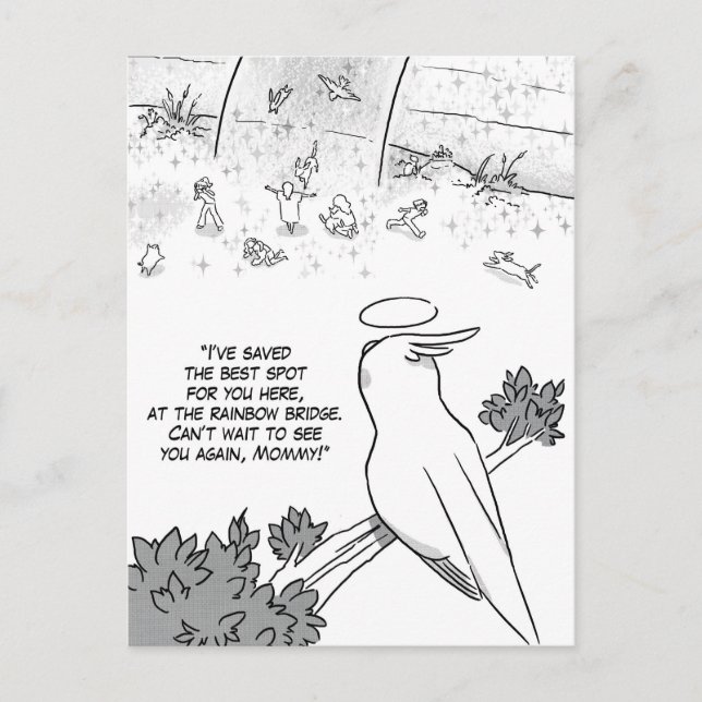 Rainbow bridge cockatiel parrot postcard (Front)