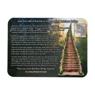Rainbow Bridge Customisable Photo Magnet
