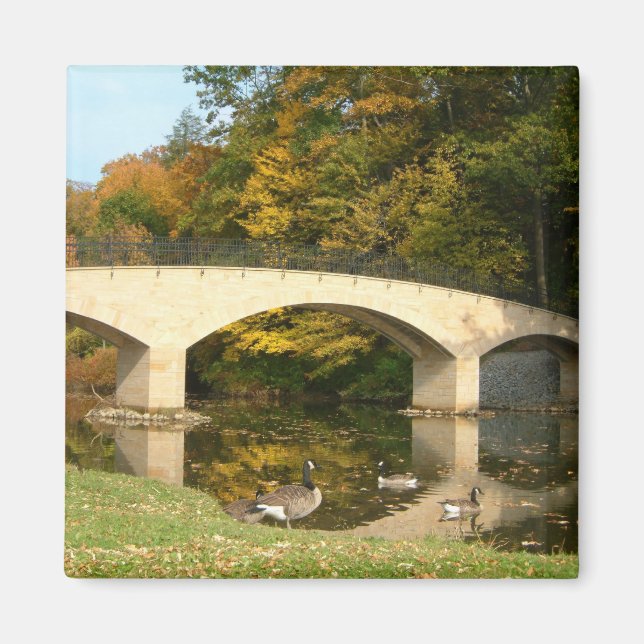 Rainbow Bridge in Fall at Grove City College Magnet (Front)