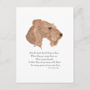 Rainbow Bridge Keepsake Postcard