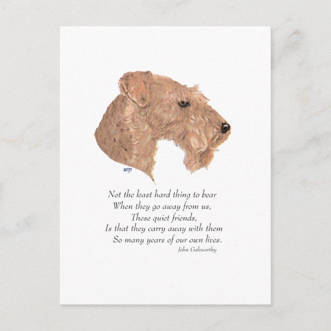 Rainbow Bridge Keepsake Postcard (Front)