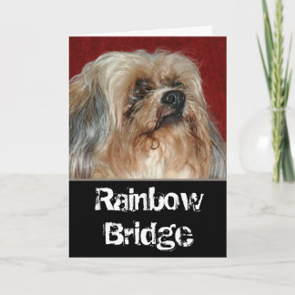 Rainbow Bridge - my buddy Card
