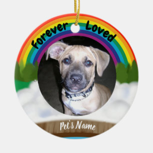 Rainbow Bridge Pet Loss Ceramic Tree Decoration