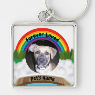 Rainbow Bridge Pet Loss Key Ring