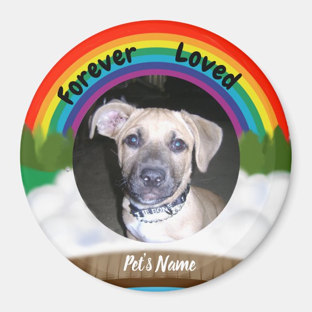 Rainbow Bridge Pet Loss Magnet (Front)