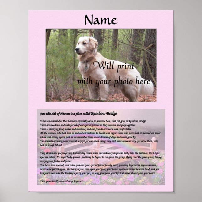 Rainbow Bridge Pet Memorial Pink Poster (Front)
