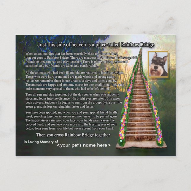 Rainbow Bridge Poem Pet Loss Sympathy Card (Front)