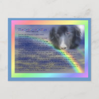 Rainbow Bridge Poem Pet Loss Sympathy