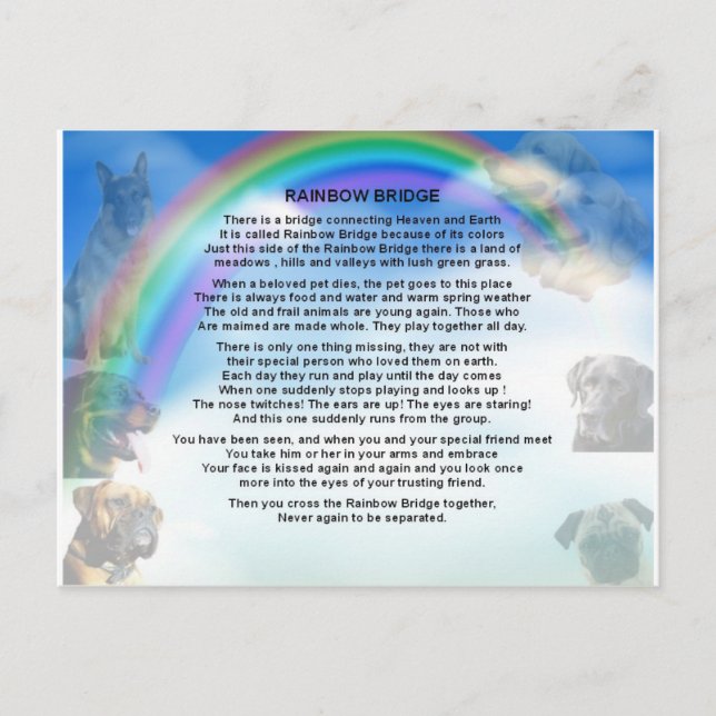 Rainbow Bridge Poem Postcard (Front)