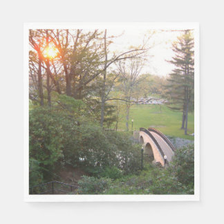 Rainbow Bridge Sunset at Grove City College Napkin