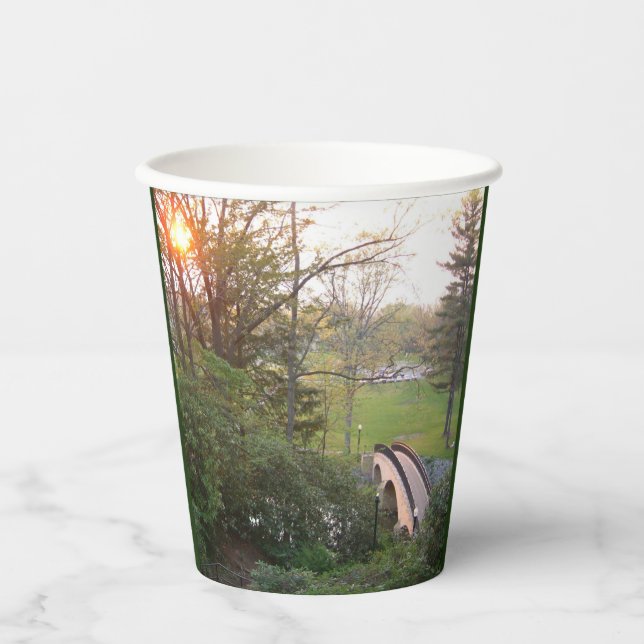 Rainbow Bridge Sunset at Grove City College Paper Cups (Front)