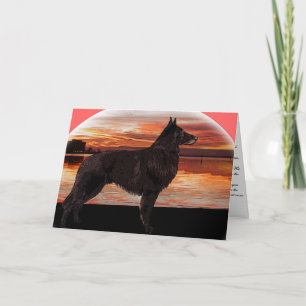 Rainbow Bridge Sympathy Card: Belgian Tervuren Card
